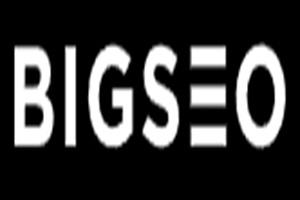 BIGSEO