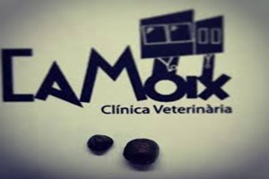 Camoix Clínica Veterinaria clínicas veterinarias