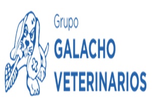 Clínica Veterinaria La Unión