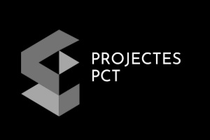 Projecte SPCT delineantes proyectistas