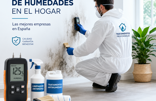 Mejores empresas de tratamiento de humedades en España